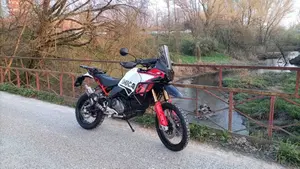 Ducati DesertX Rally (2024 - 25)  (4)
