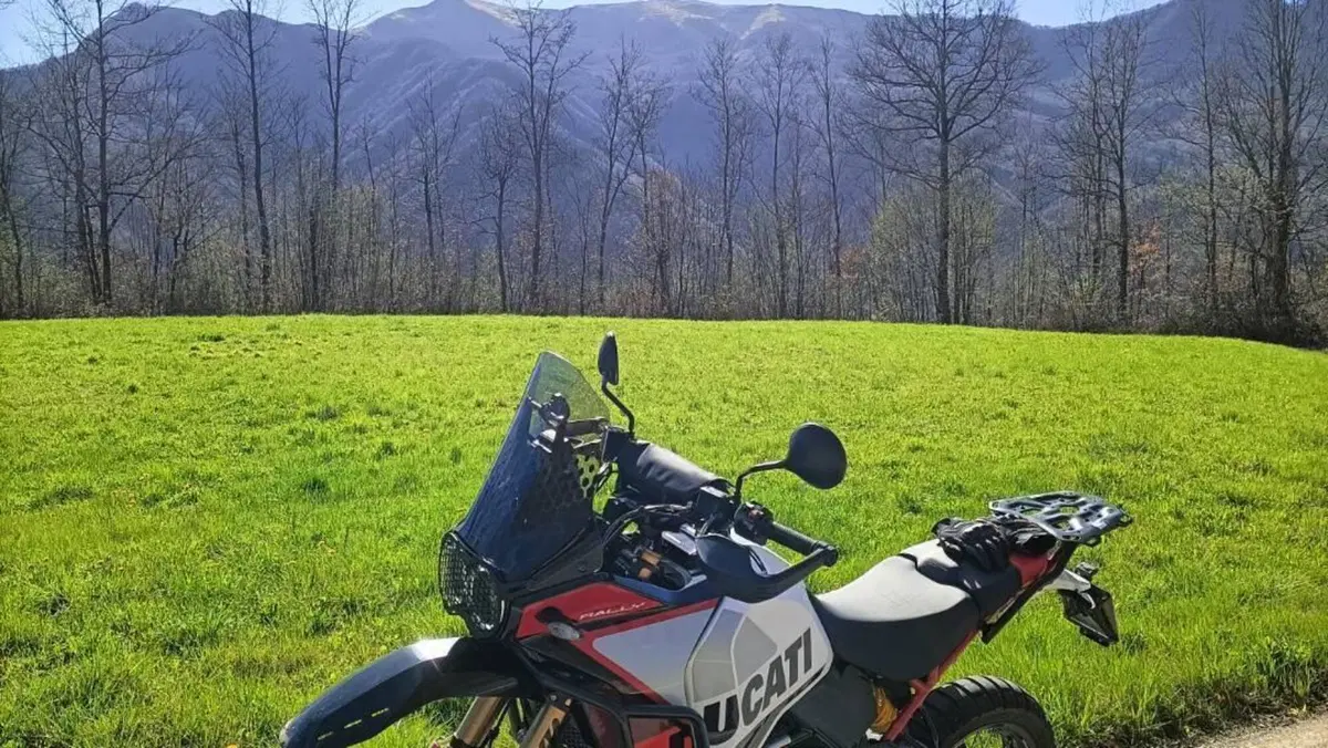 Ducati DesertX Rally (2024 - 25)  (5)