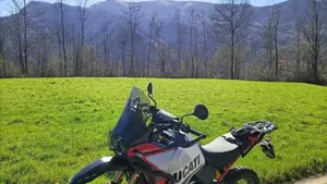 Ducati DesertX Rally (2024 - 25)  (5)