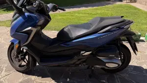 Honda Forza 350 (2022 - 24) 