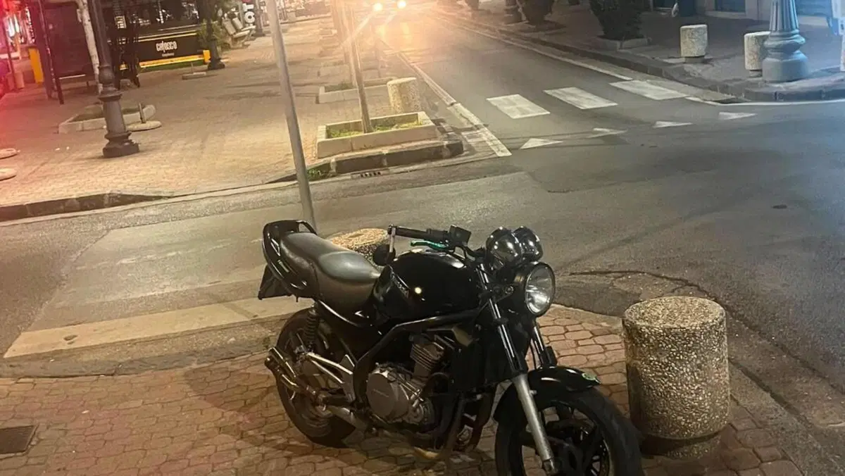 Kawasaki ER-5 500 (2001 - 06)  (3)