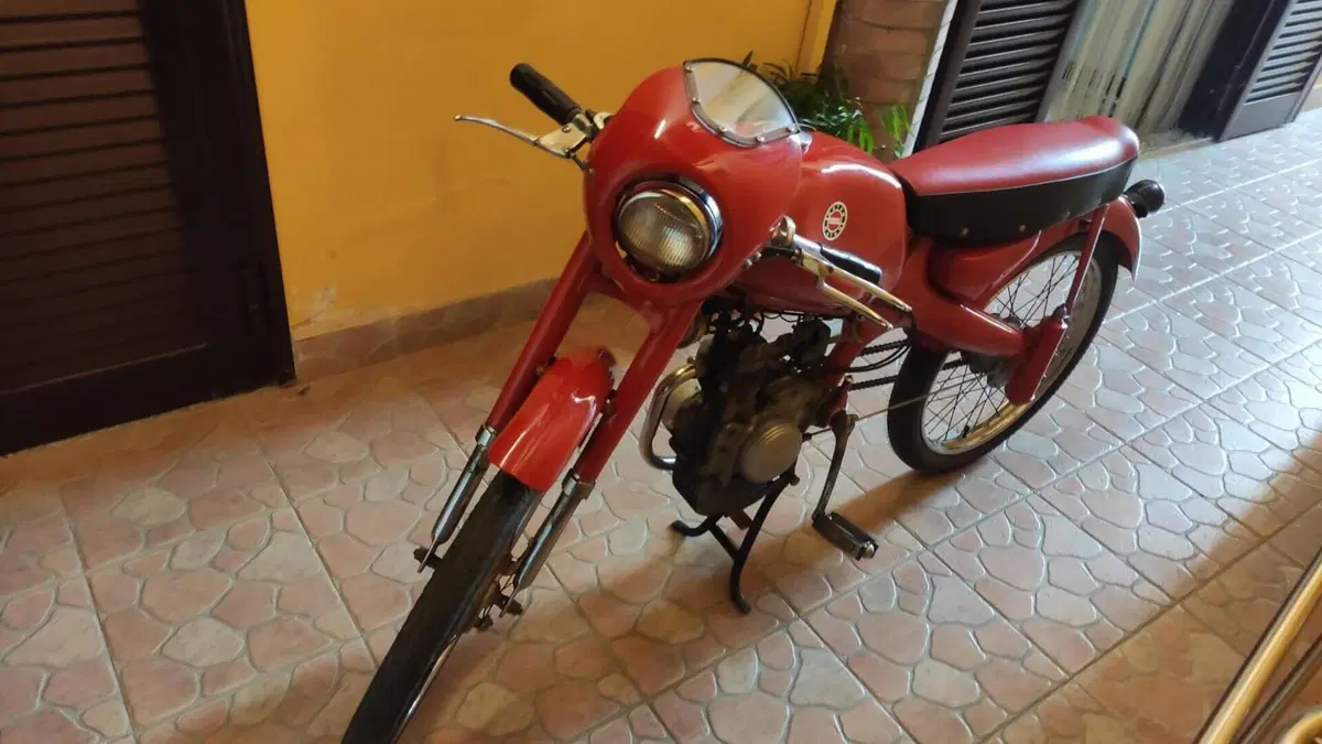 Motom   (6)