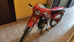 Motom   (6)