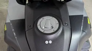 Moto Guzzi Stelvio PFF (2024 - 26)  (7)