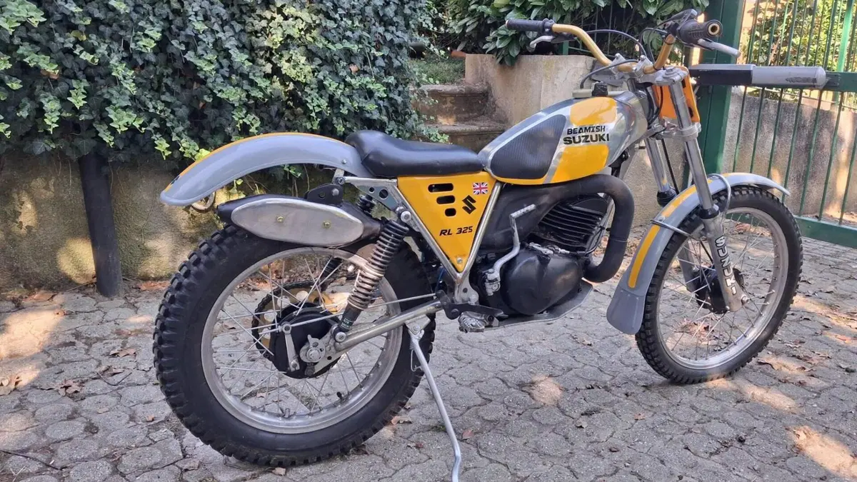 Suzuki   (3)
