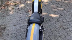 Suzuki   (4)