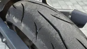 Benelli TRK 251 (2022 - 25)  (4)