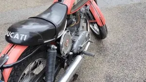Ducati   (3)
