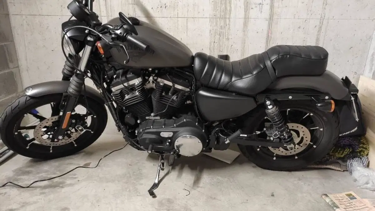 Harley-Davidson 883 Iron (2017 - 20) - XL 883N 