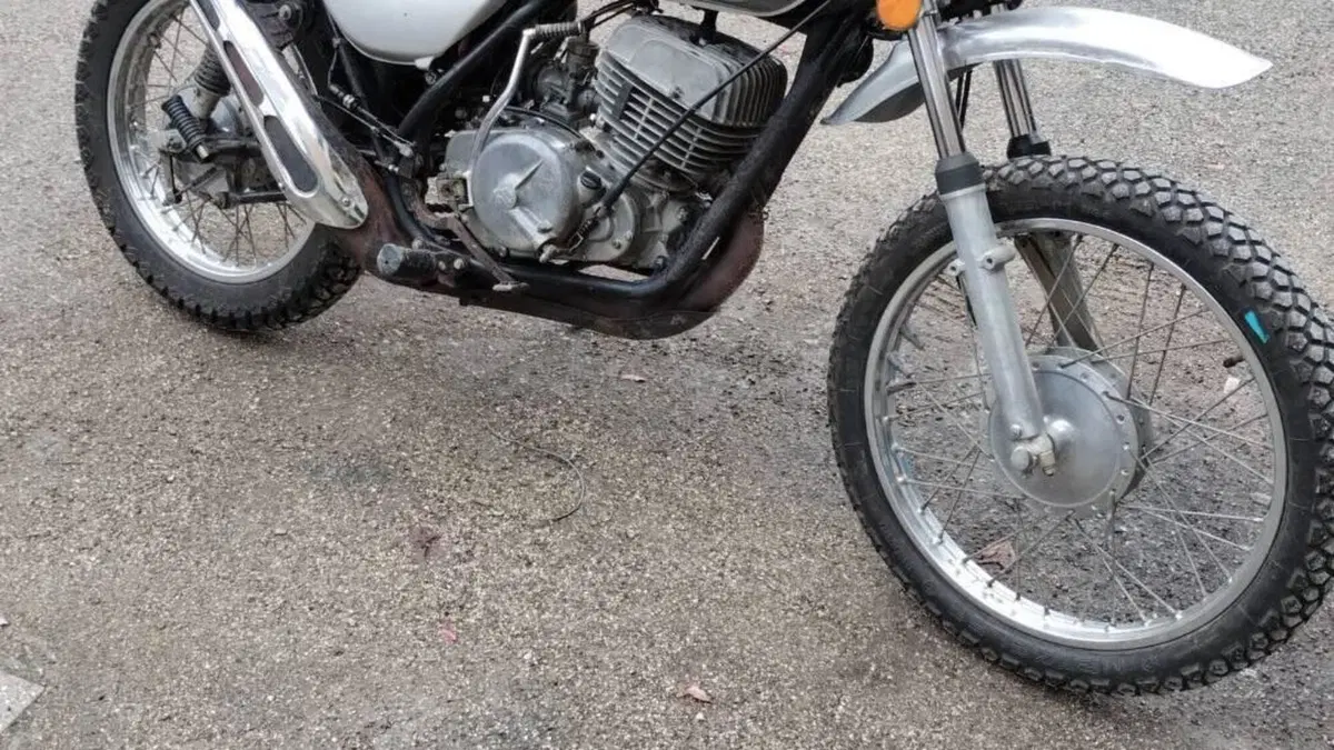 Suzuki   (3)