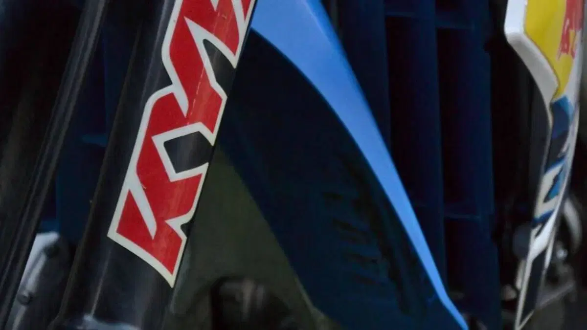 Tm Moto EN 125 (2017)  (6)