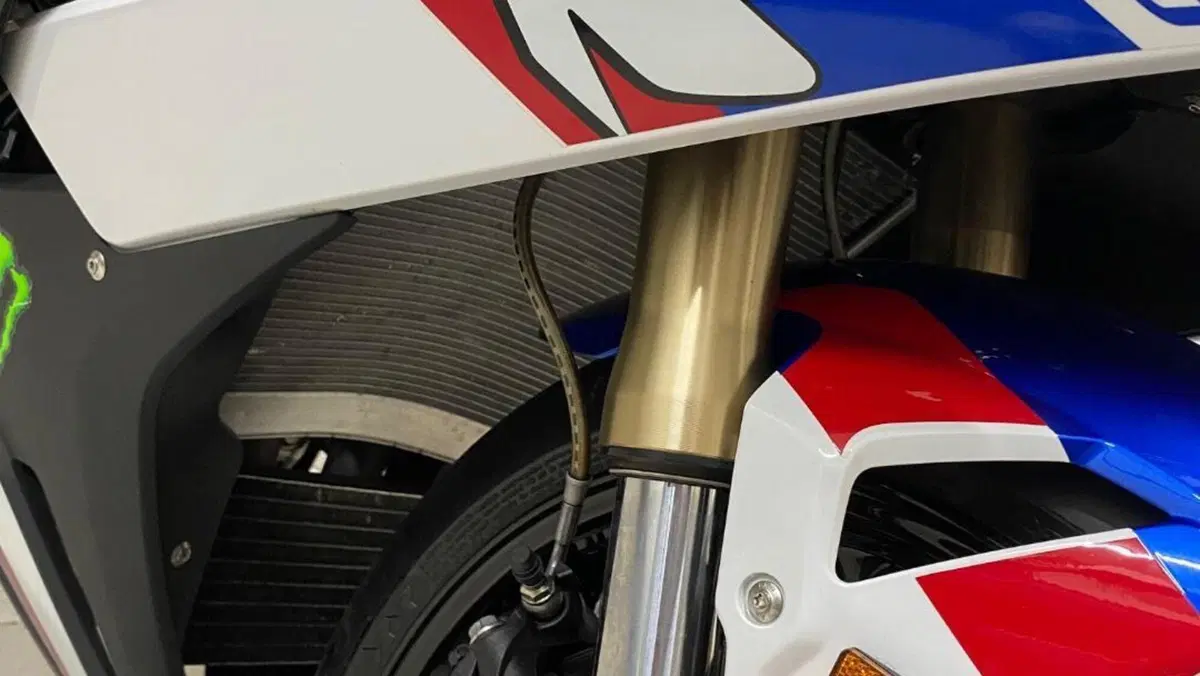 Bmw S 1000 RR (2021 - 22)  (14)