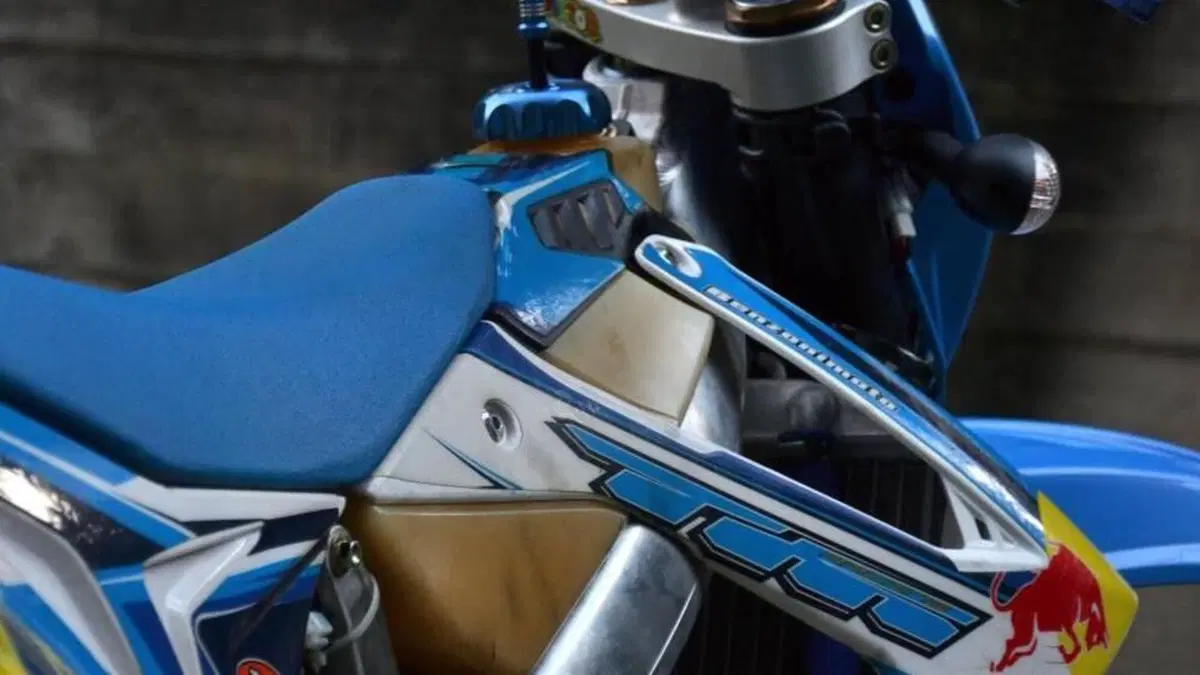 Tm Moto EN 125 (2017)  (7)
