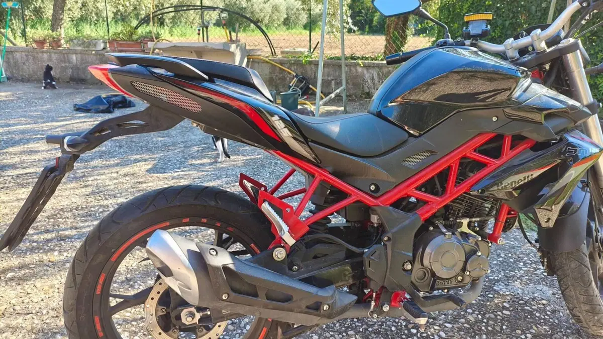 Benelli BN 125 (2018 - 20)  (3)