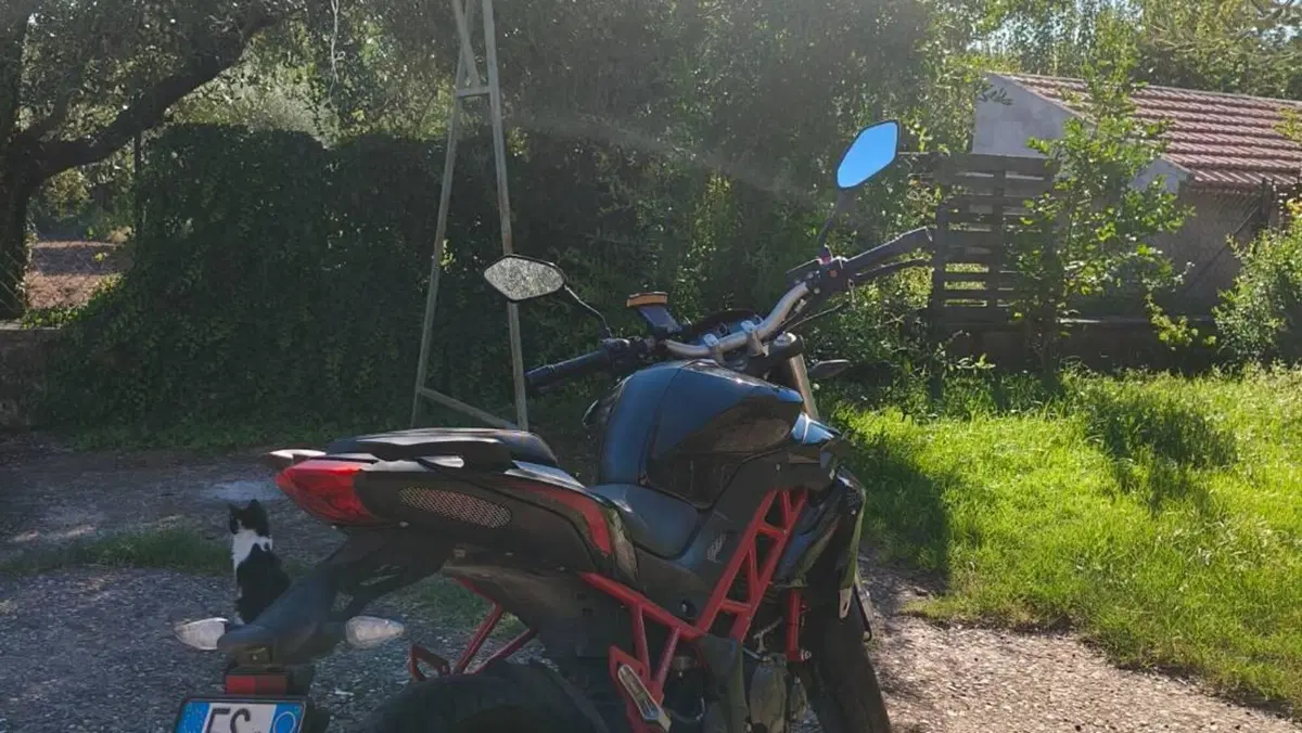 Benelli BN 125 (2018 - 20)  (5)