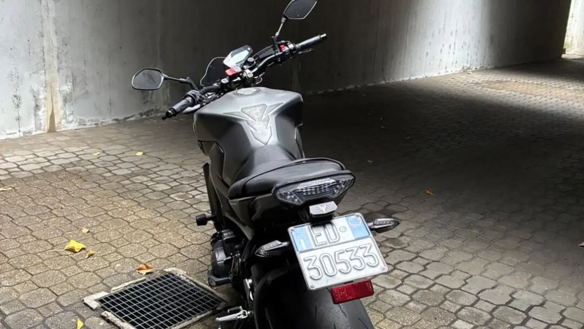 Yamaha MT-09 (2013 - 15)  (5)
