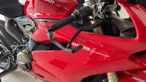 Ducati 1199 Panigale (2012 - 13)  (7)