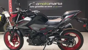 Kawasaki Z 500 SE (2024 - 26) 