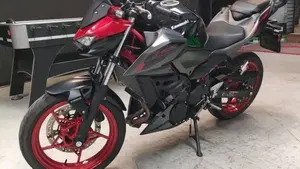 Kawasaki Z 500 SE (2024 - 26)  (2)
