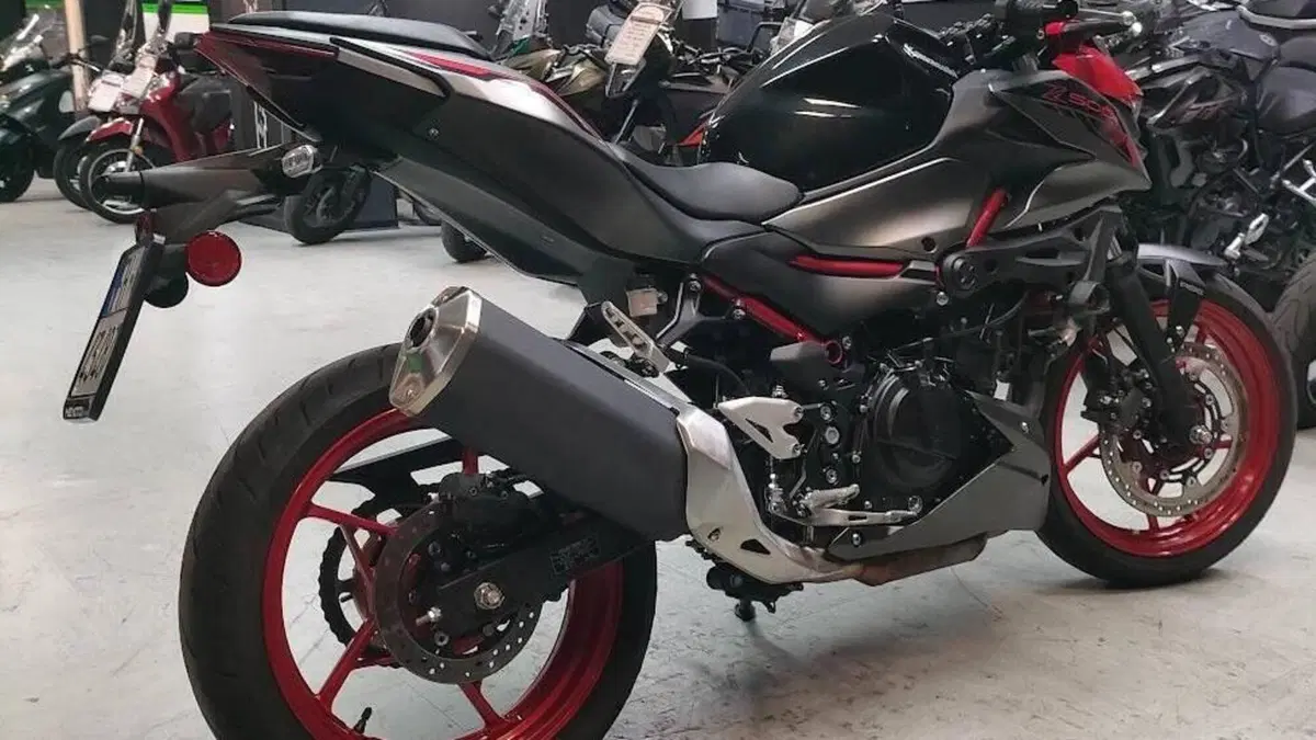 Kawasaki Z 500 SE (2024 - 26)  (6)