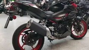 Kawasaki Z 500 SE (2024 - 26)  (6)