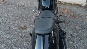CFMOTO 450CL-C (2024 - 26)  (4)