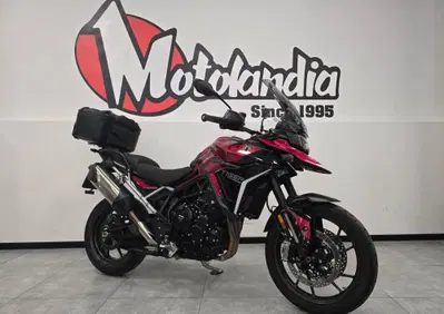 Triumph Tiger 900 GT Pro (2024 - 26) - Annuncio 10100610
