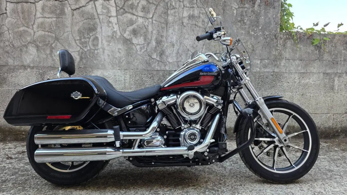 Harley-Davidson 107 Low Rider (2018 - 20) - FXLR  (3)