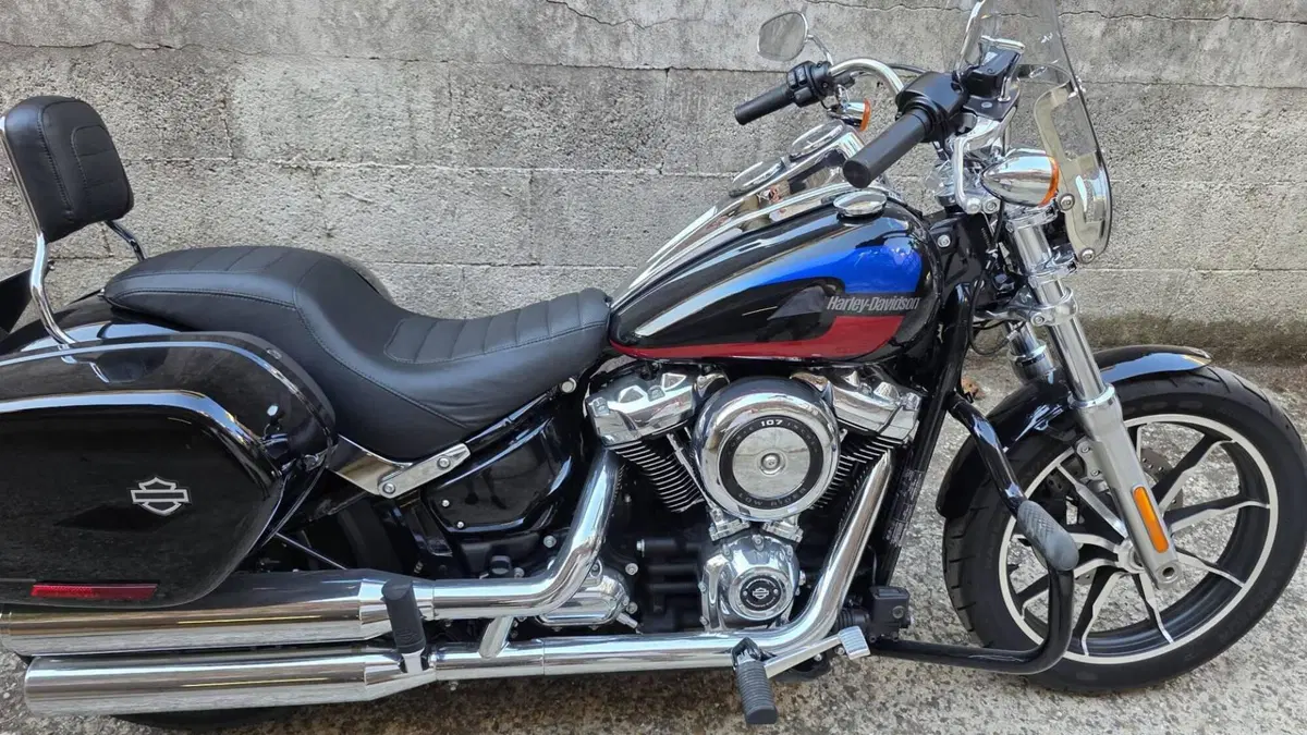 Harley-Davidson 107 Low Rider (2018 - 20) - FXLR  (5)