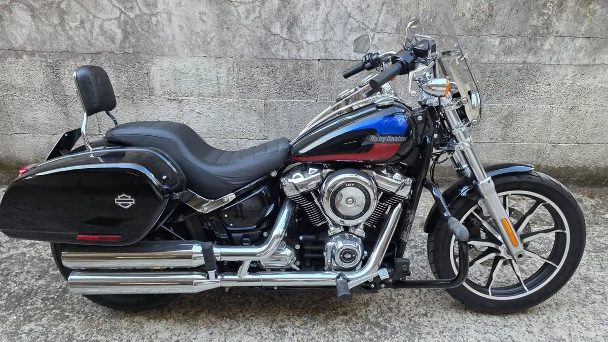 Harley-Davidson 107 Low Rider (2018 - 20) - FXLR  (6)