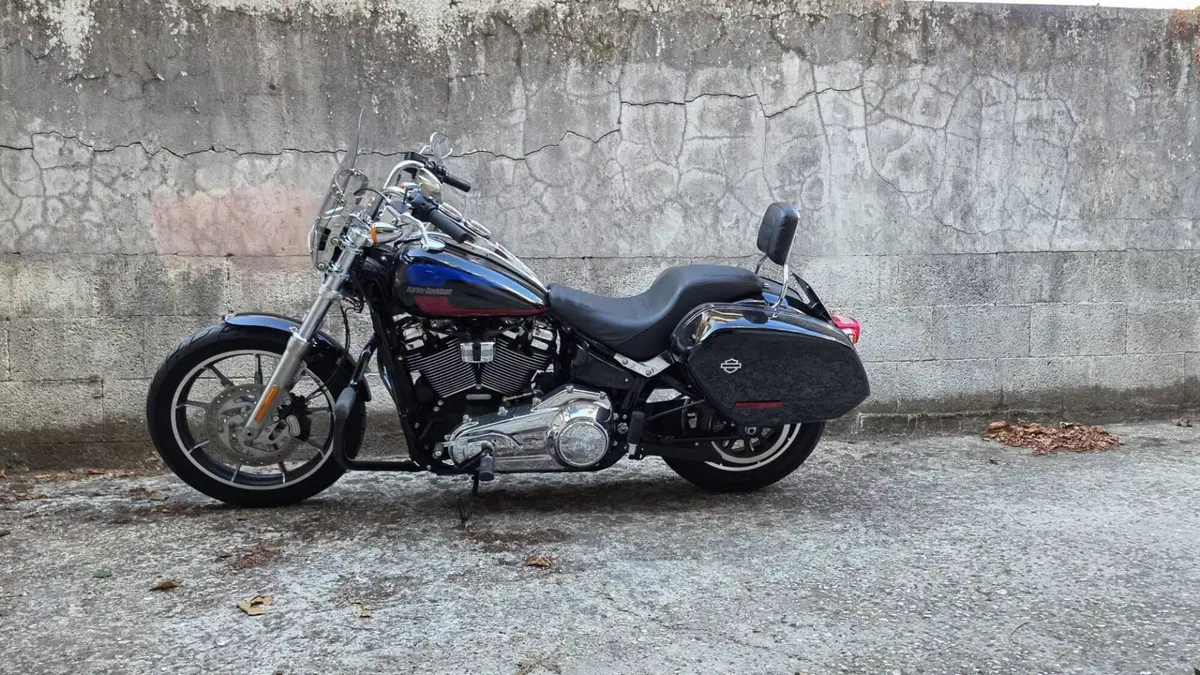 Harley-Davidson 107 Low Rider (2018 - 20) - FXLR  (7)