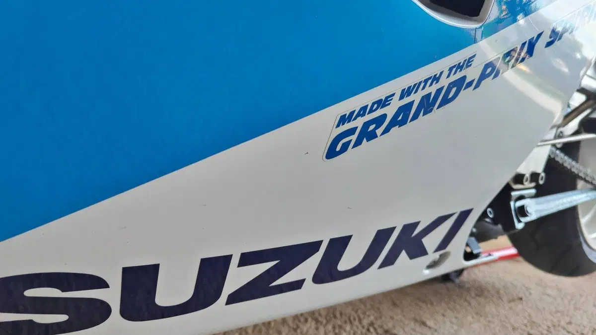 Suzuki RGV 250 (1989 - 97)  (6)