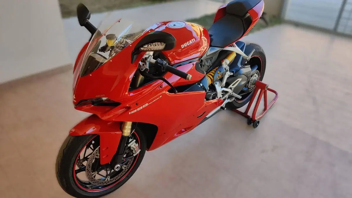 Ducati 1299 Panigale (2015 - 17)  (3)
