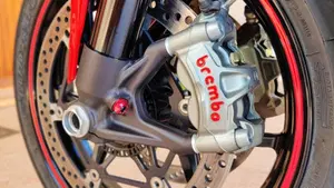 Ducati 1299 Panigale (2015 - 17)  (5)
