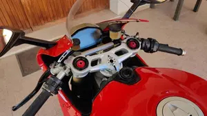 Ducati 1299 Panigale (2015 - 17)  (9)
