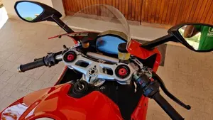 Ducati 1299 Panigale (2015 - 17)  (10)