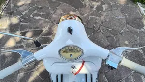 Piaggio   (5)