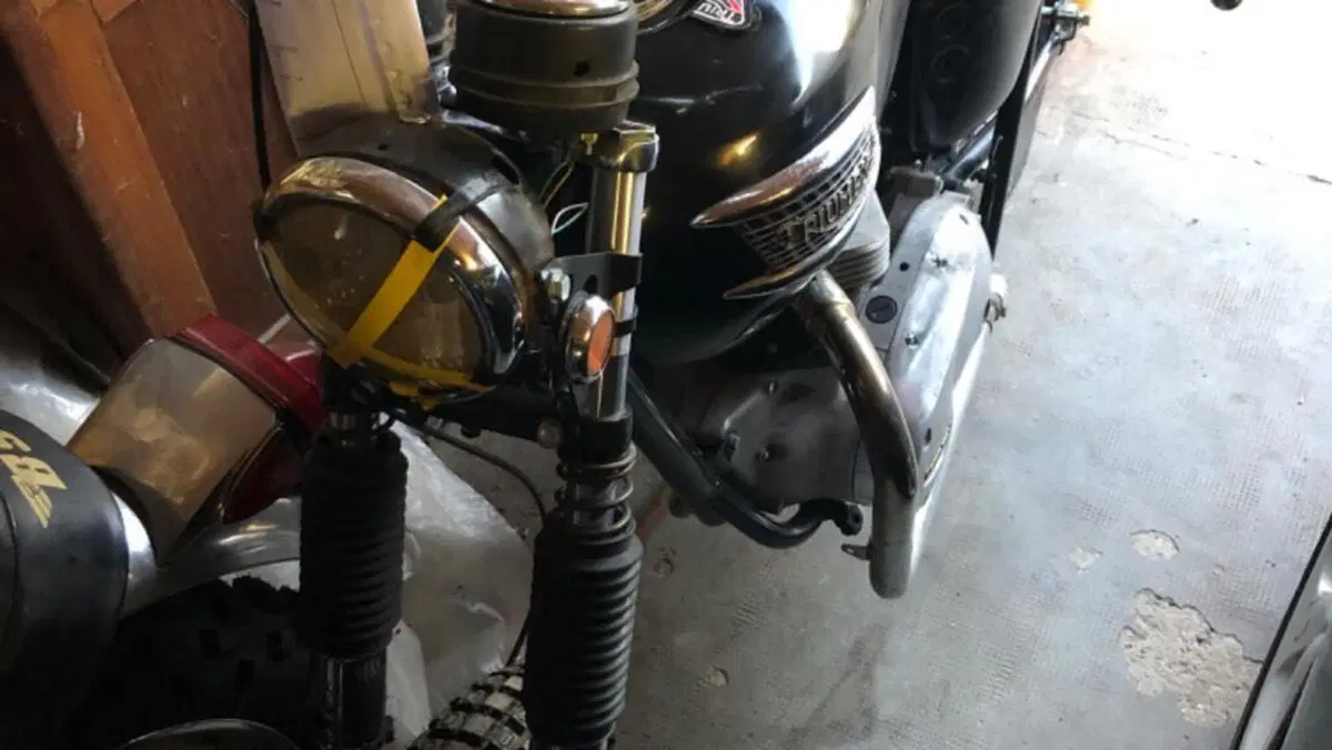Triumph   (20)