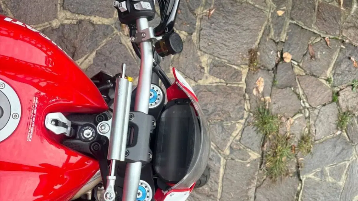 Ducati Monster 1200 25° Anniversario (2018 - 19)  (7)