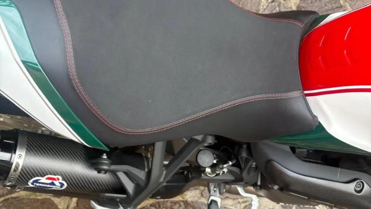 Ducati Monster 1200 25° Anniversario (2018 - 19)  (9)