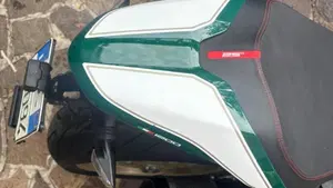 Ducati Monster 1200 25° Anniversario (2018 - 19)  (10)