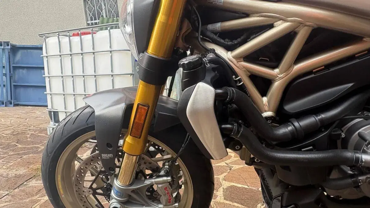 Ducati Monster 1200 25° Anniversario (2018 - 19)  (13)