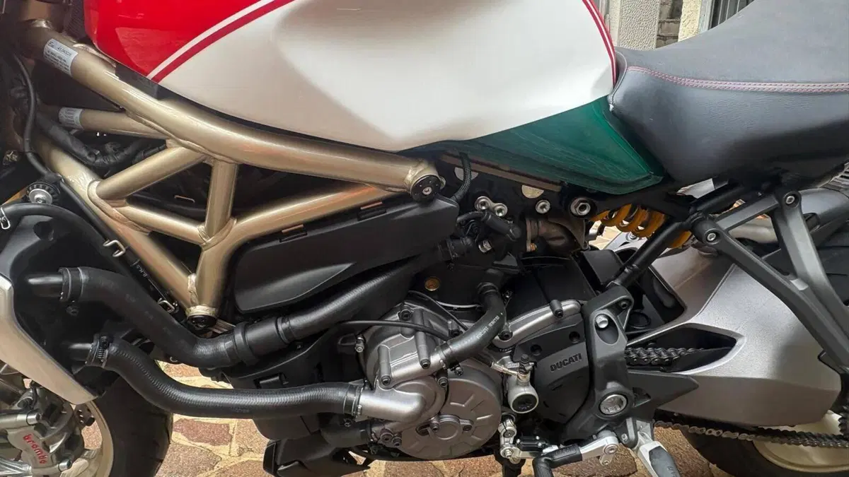 Ducati Monster 1200 25° Anniversario (2018 - 19)  (14)