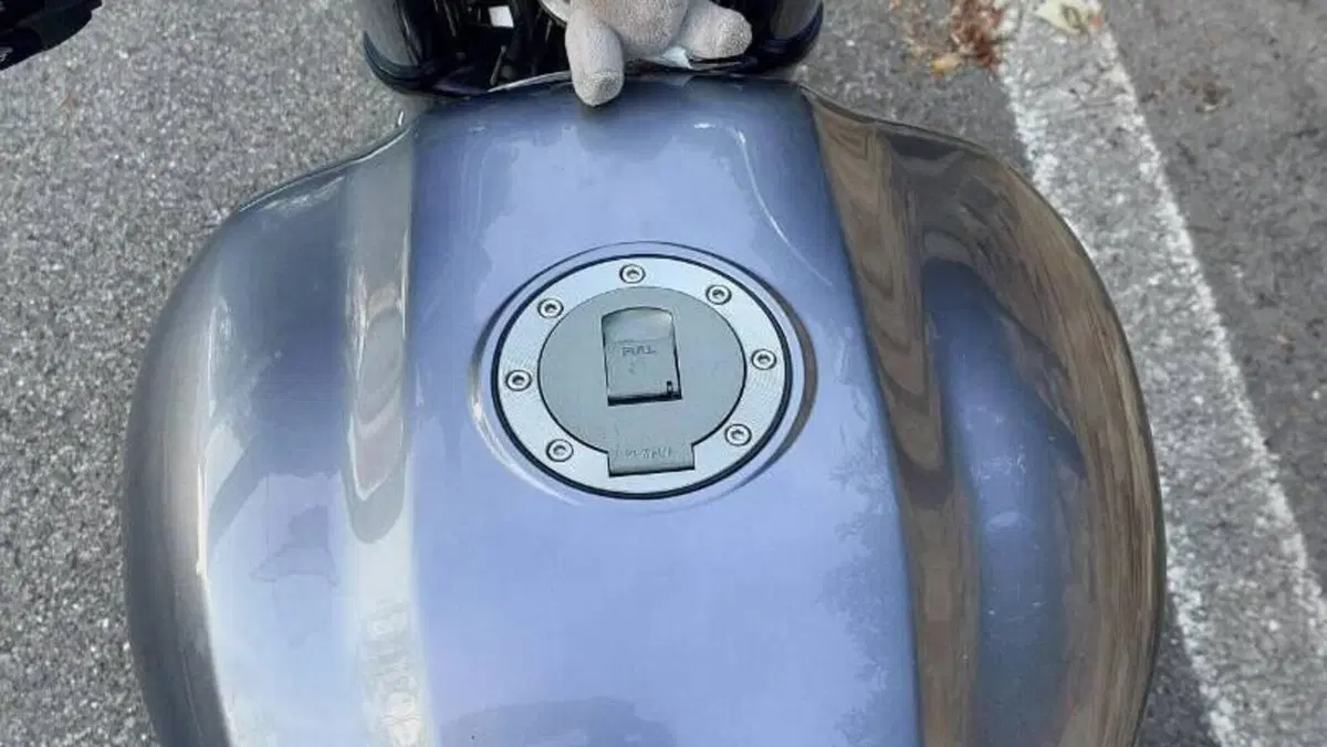 Yamaha   (6)