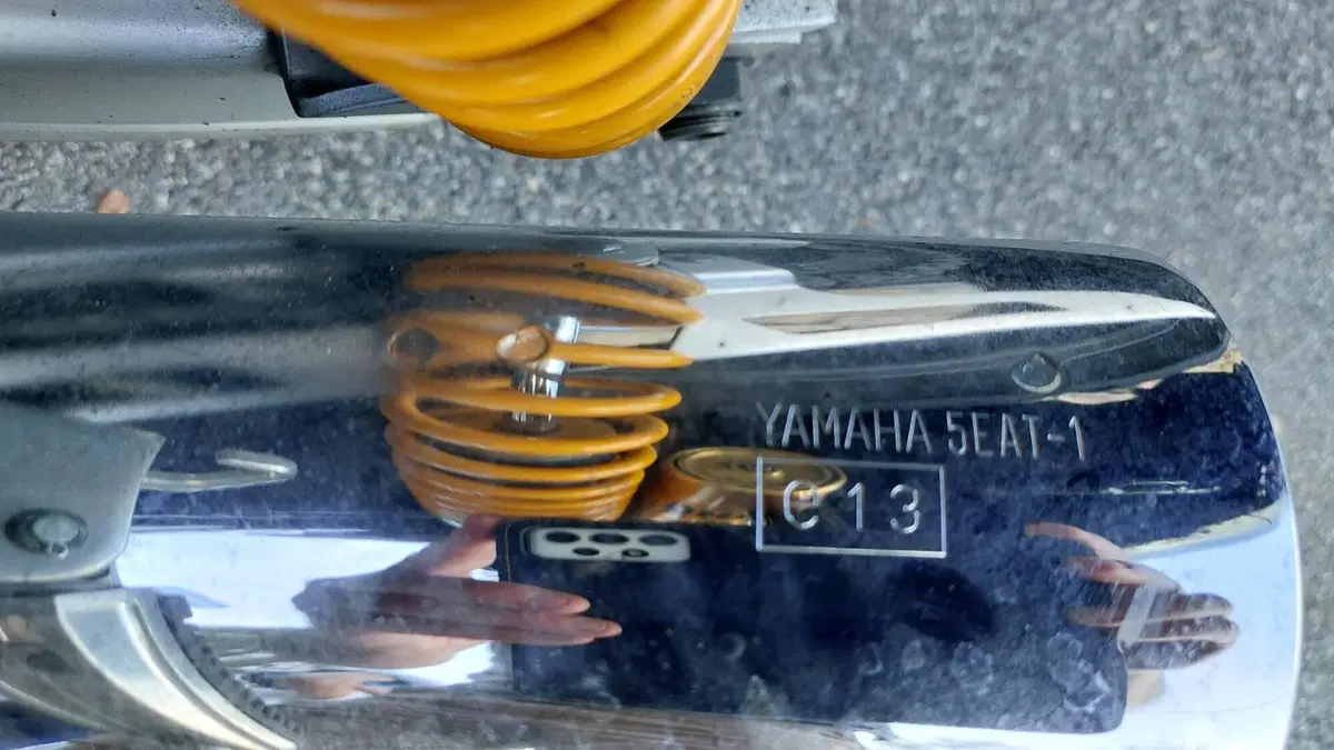 Yamaha   (10)