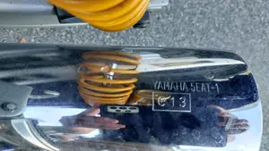 Yamaha   (10)