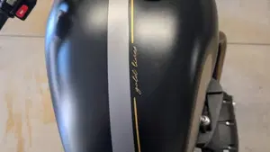 Triumph Street Twin 900 (2021 - 22)  (5)
