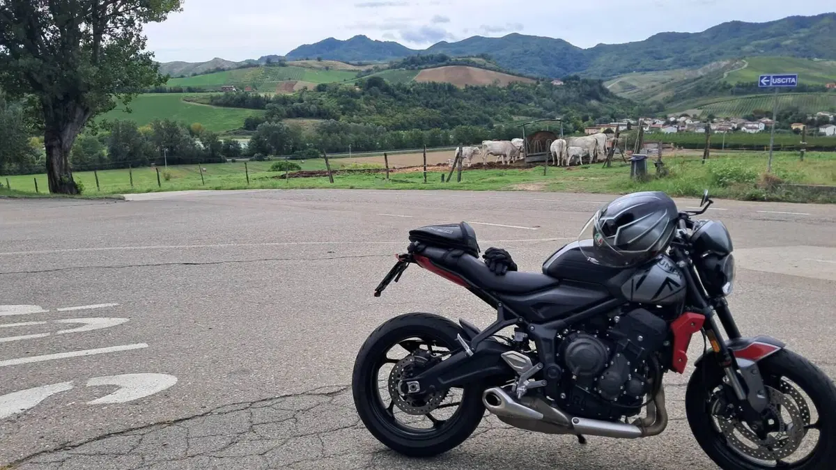 Triumph Trident 660 (2021 - 24)  (2)