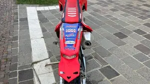 Honda CRF 250RX Enduro Special (2024)  (6)