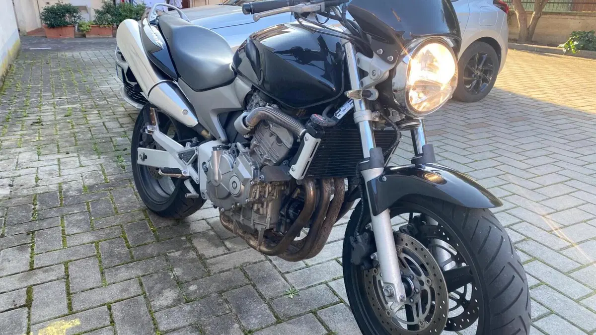 Honda Hornet 600 (2003 - 04)  (3)